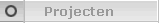 Projecten
